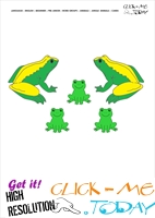 Jungle animal flashcard Little Frog - Printable card of Frogs