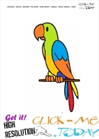 Jungle animal flashcard Parrot  - Printable card of Parrot