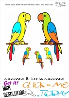 Jungle animal flashcard Parrots  - Printable card of Parrots