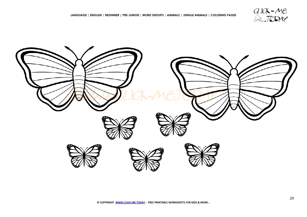 Coloring page Butterflies - Color picture of Butterflies