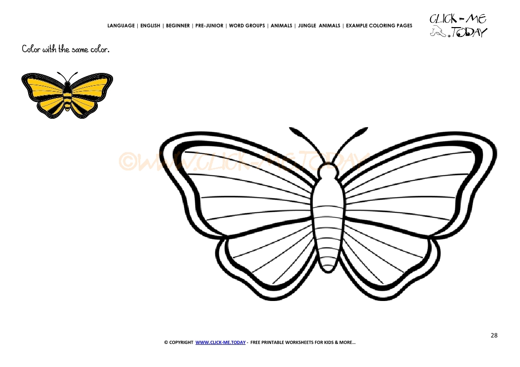 Butterfly Coloring Pages Language:en : Amazon Com Butterfly Coloring