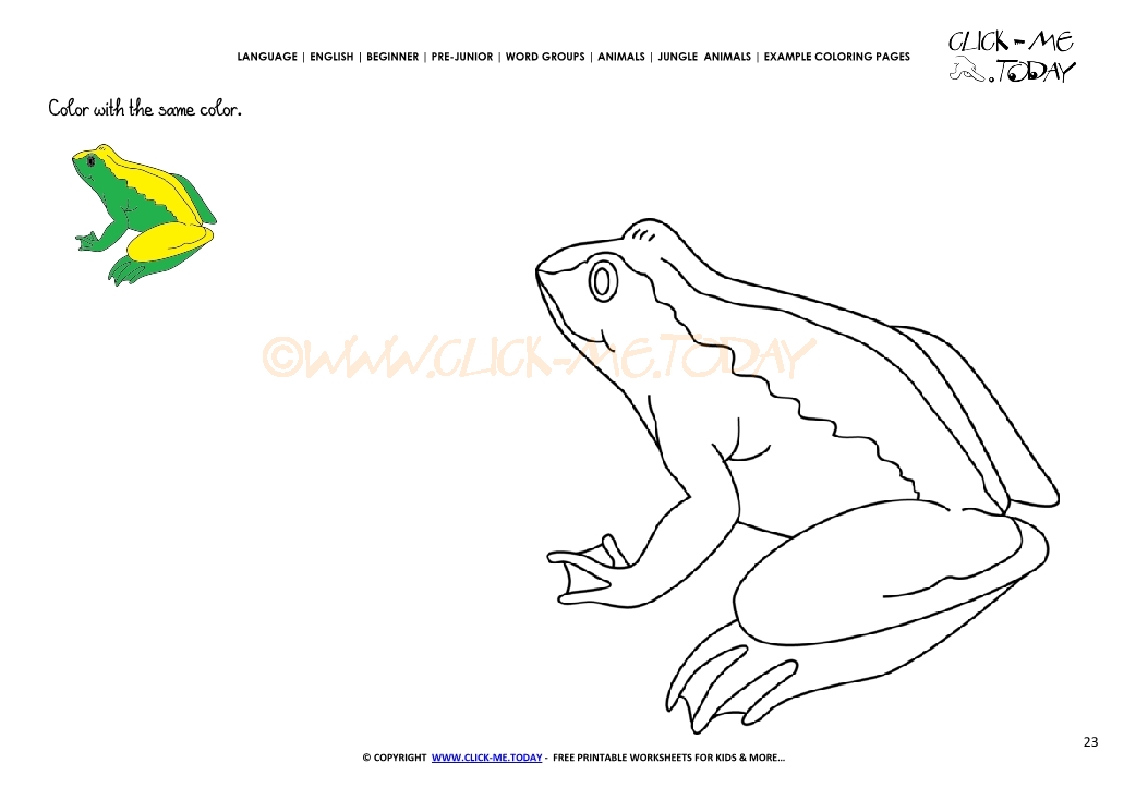 Example coloring page Frog - Color picture of Frog