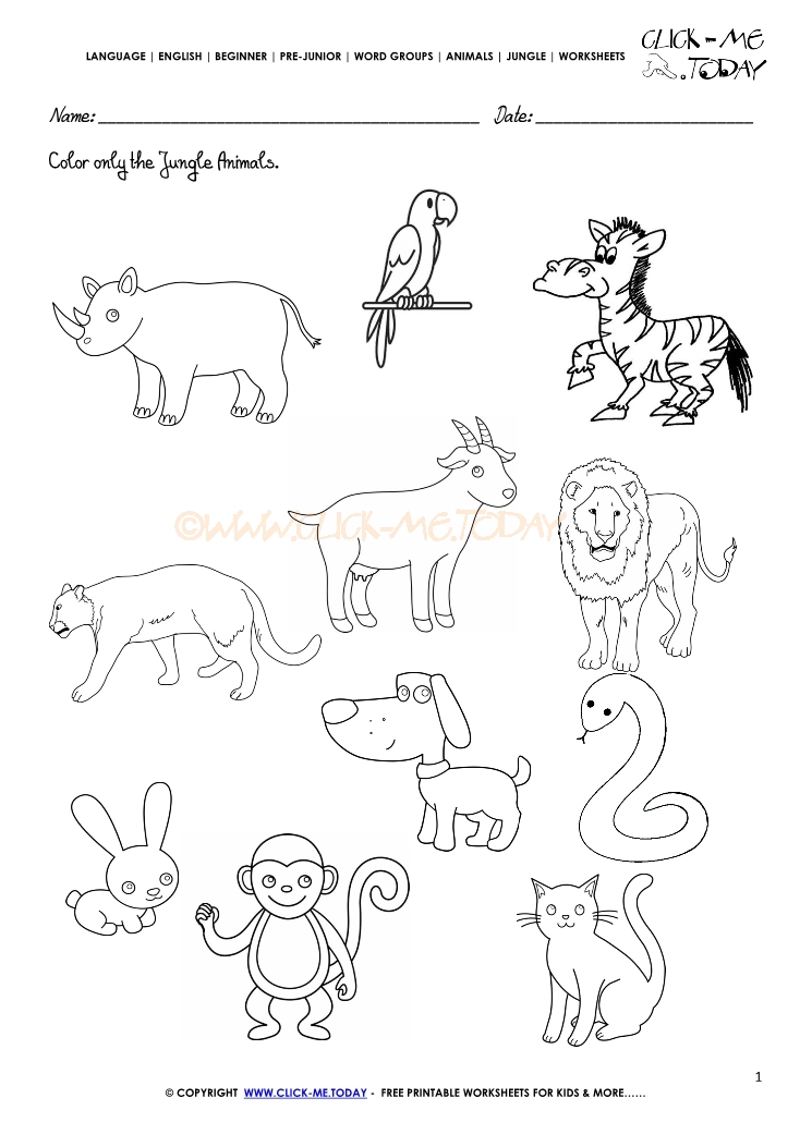 Jungle Animals Worksheet - Activity sheet Color 1