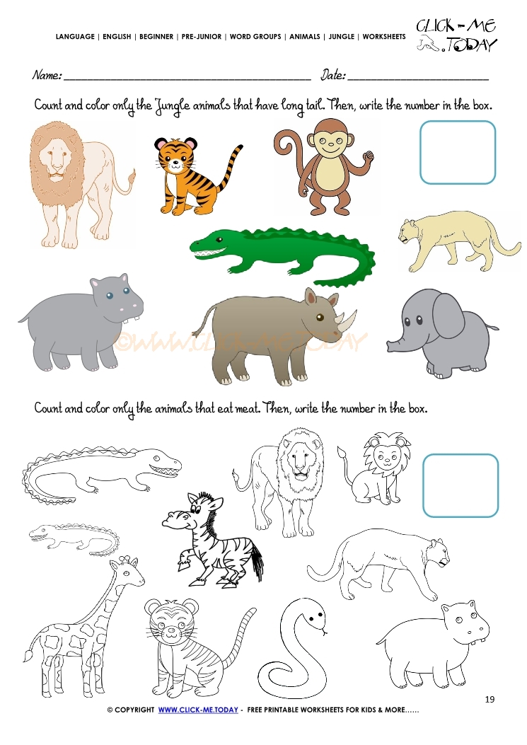 Jungle Animals Worksheet - Activity sheet Count 19
