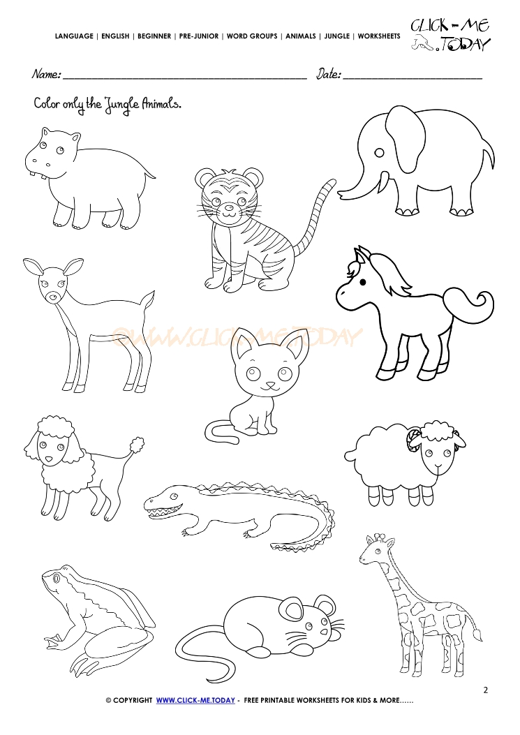 Jungle Animals Worksheet - Activity sheet Color 2