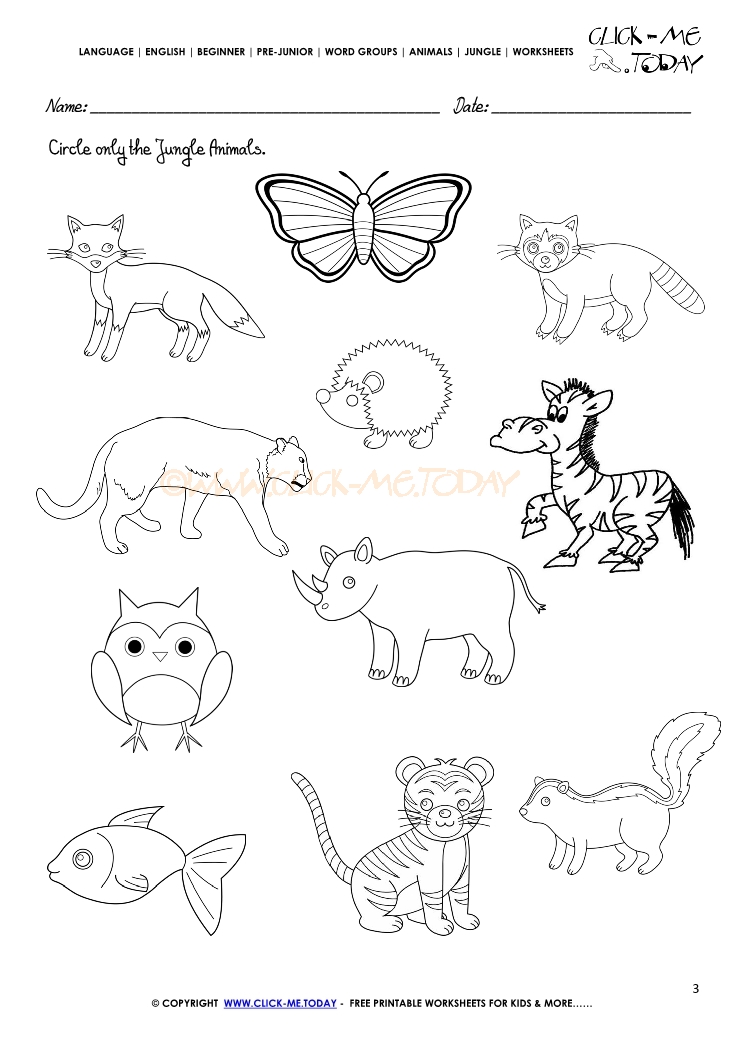 jungle-animals-worksheet-activity-sheet-circle-3