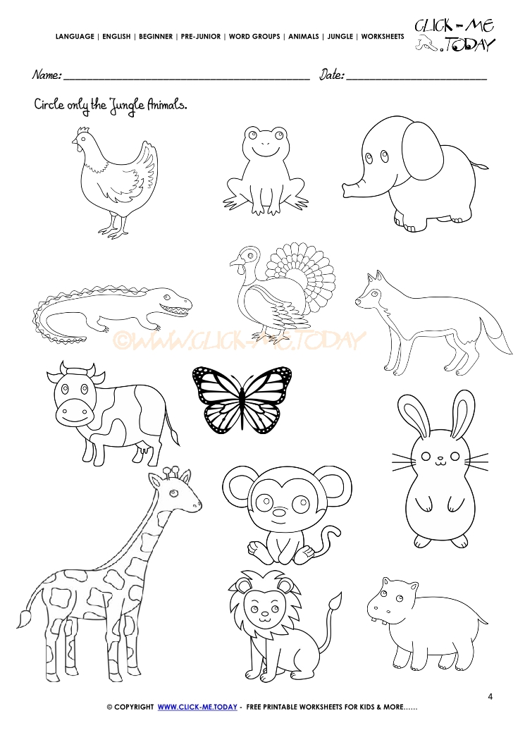 Jungle Animals Worksheet - Activity sheet Circle 4