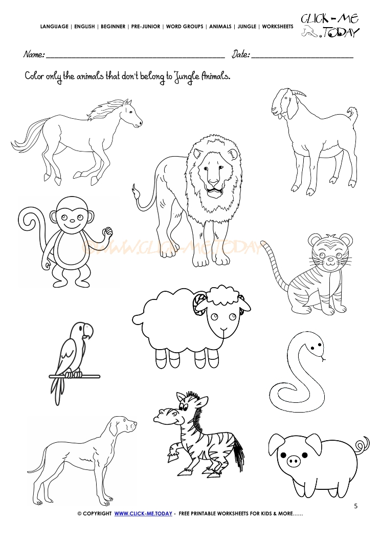 Jungle Animals Worksheet - Activity sheet Color 5