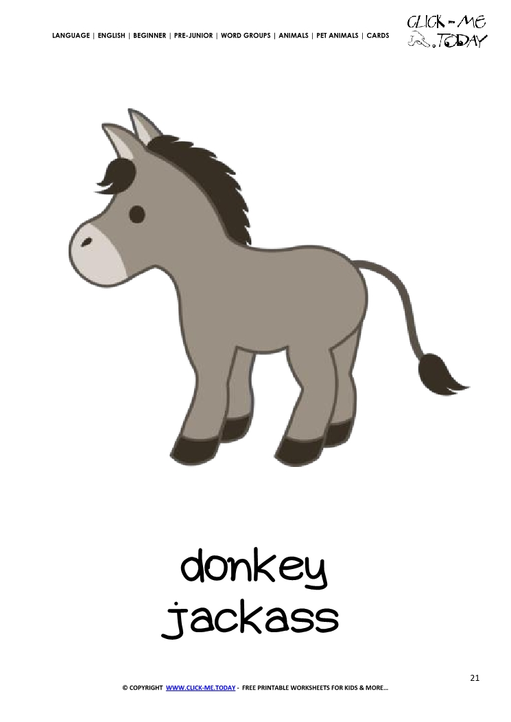 Printable Pet Animal Donkey wall card -  Donkey flashcard