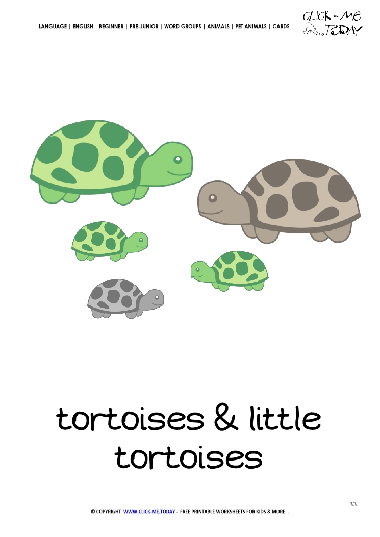 Printable Pet Animal Tortoise family wall card - Tortoises flashcard