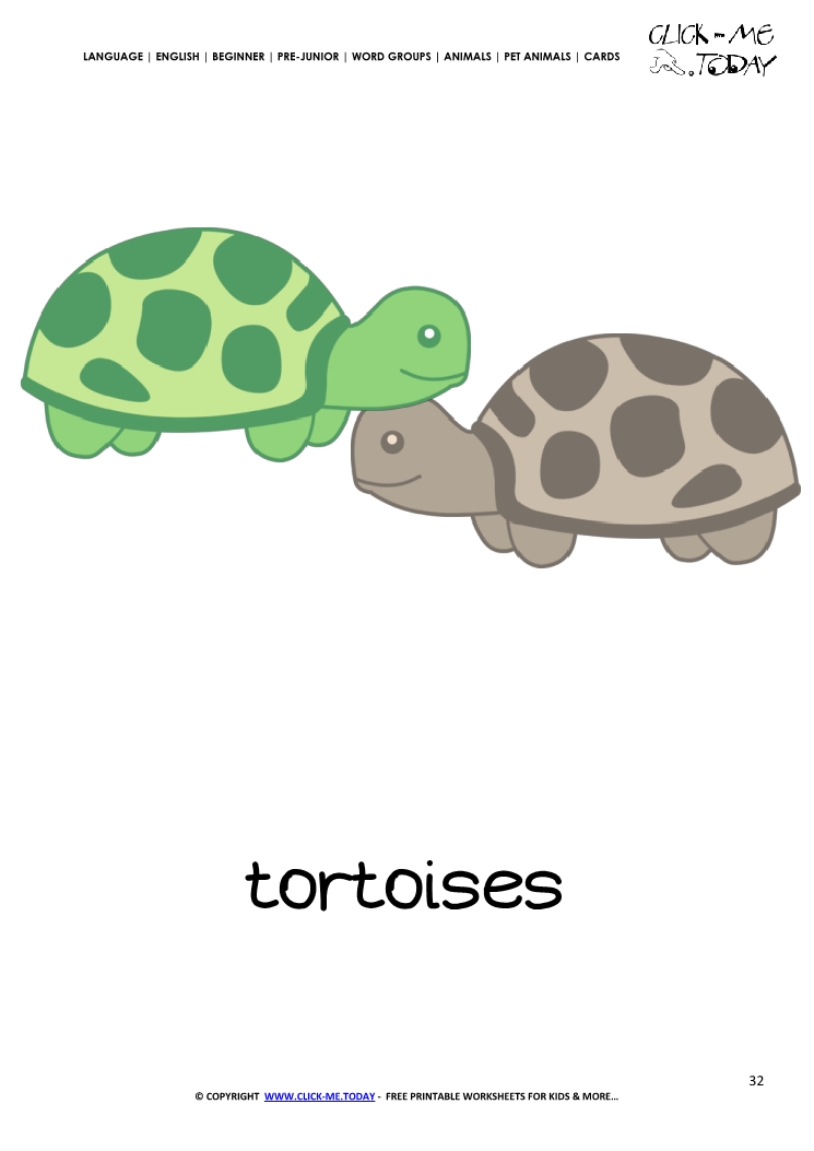 Printable Pet Animal Tortoises wall card - Tortoises flashcard