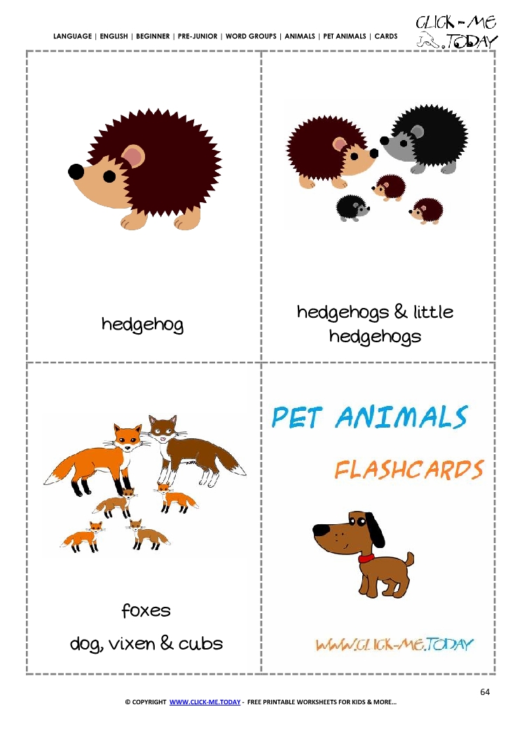 Printable Pet Animals flashcards 13 - Hedgehogs
