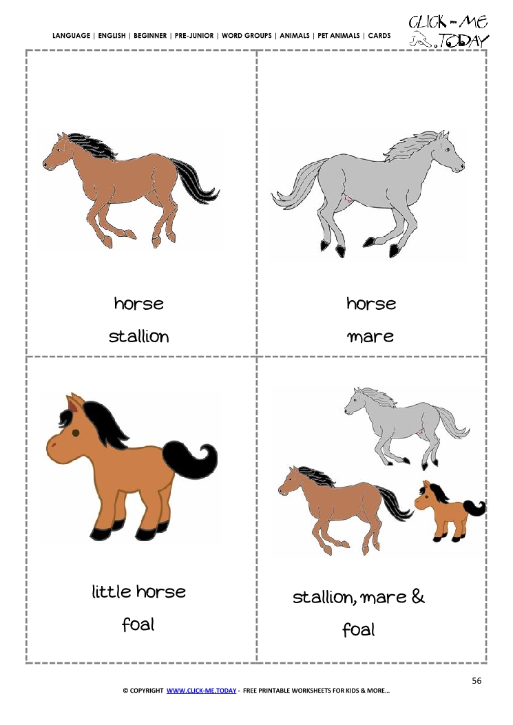 Printable Pet Animals flashcards 5 - Horses