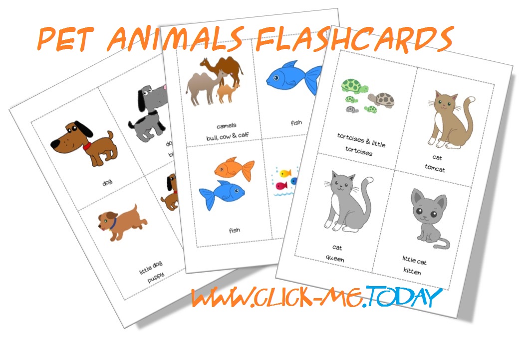 Free Printable Pet Animals Flashcards - Pet Animals cards