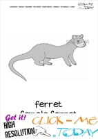 Printable Pet Animal Female  Ferret wall card -  Ferret flashcard