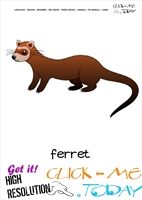 Printable Pet Animal Ferret wall card -  Ferret flashcard