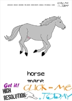 Printable Pet Animal Horse Mare wall card -  Horse Mare flashcard
