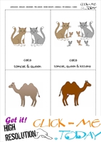 Printable Pet Animals flashcards 10 - Cats & Camels