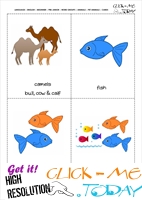 Printable Pet Animals flashcards 11 - Camels & Fish