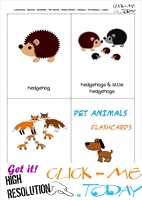 Printable Pet Animals flashcards 13 - Hedgehogs