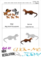 Printable Pet Animals flashcards 2 - Ferrets & Dogs