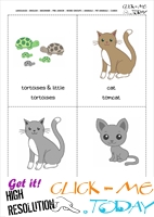 Printable Pet Animals flashcards 9 - Tortoises & Cats