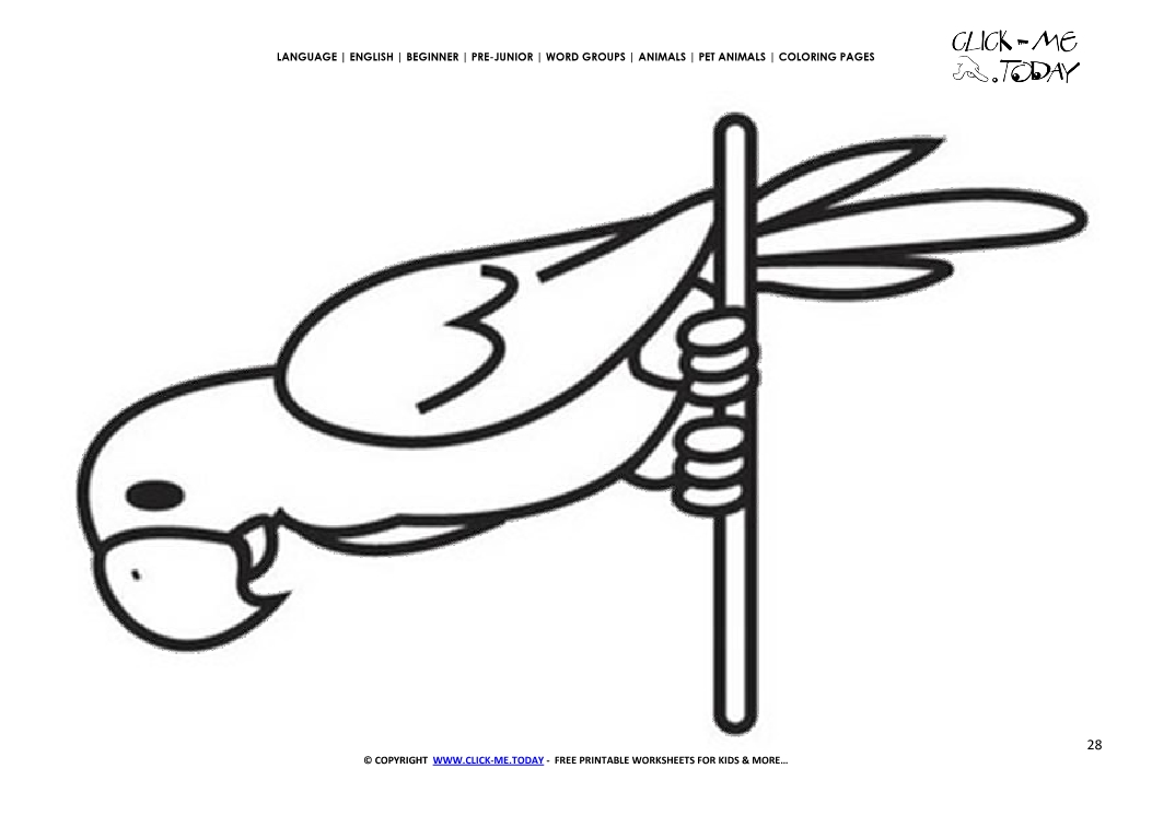 Coloring page Parrot - Color picture of Parrot