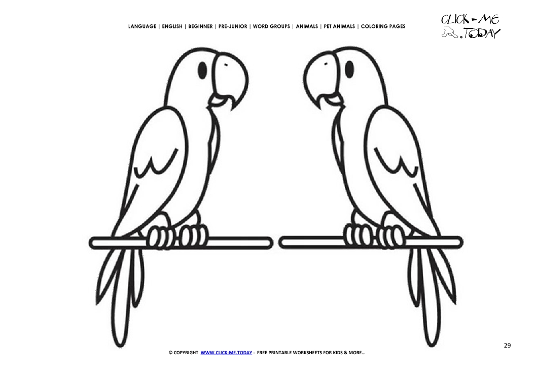 Coloring page Parrots - Color picture of Parrots