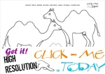 Coloring page Camels - Color picture of Camels