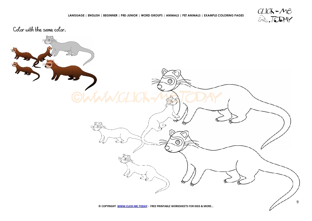 Example coloring page Ferret Family  - Color  Ferrets picture