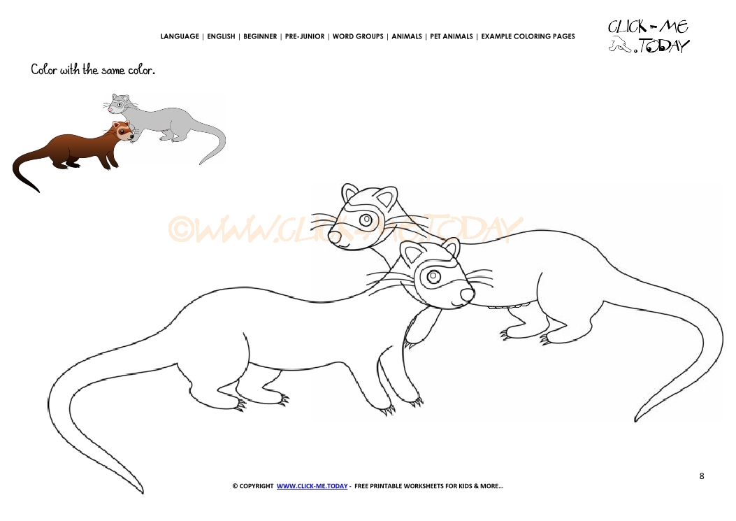 Example coloring page Ferrets - Color  Ferrets picture