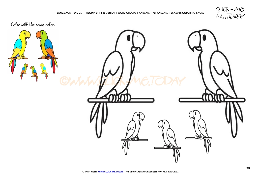 Example coloring page Parrot family - Color Parrots picture