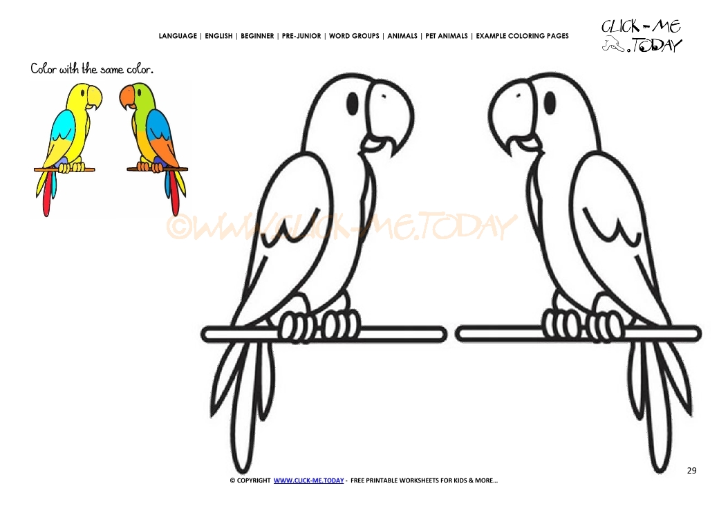 Example coloring page Parrots - Color Parrots picture