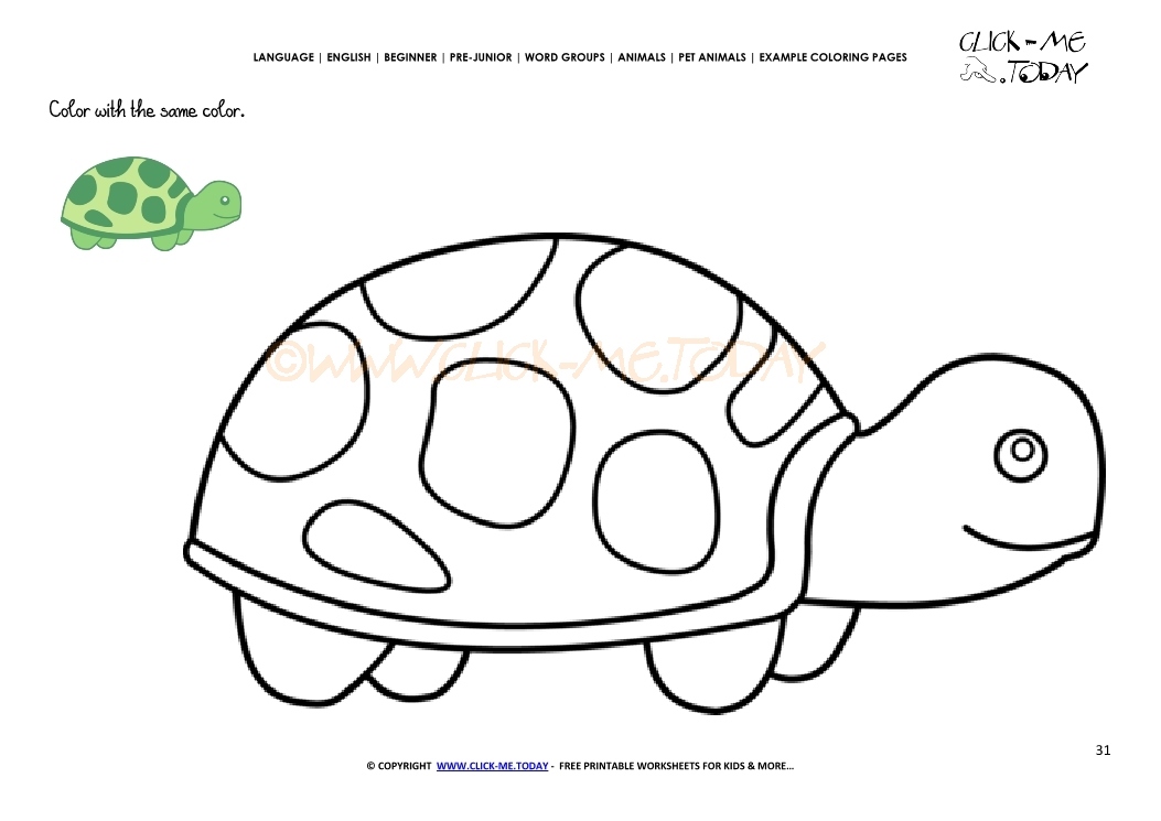 Example coloring page Tortoise - Color Tortoise picture