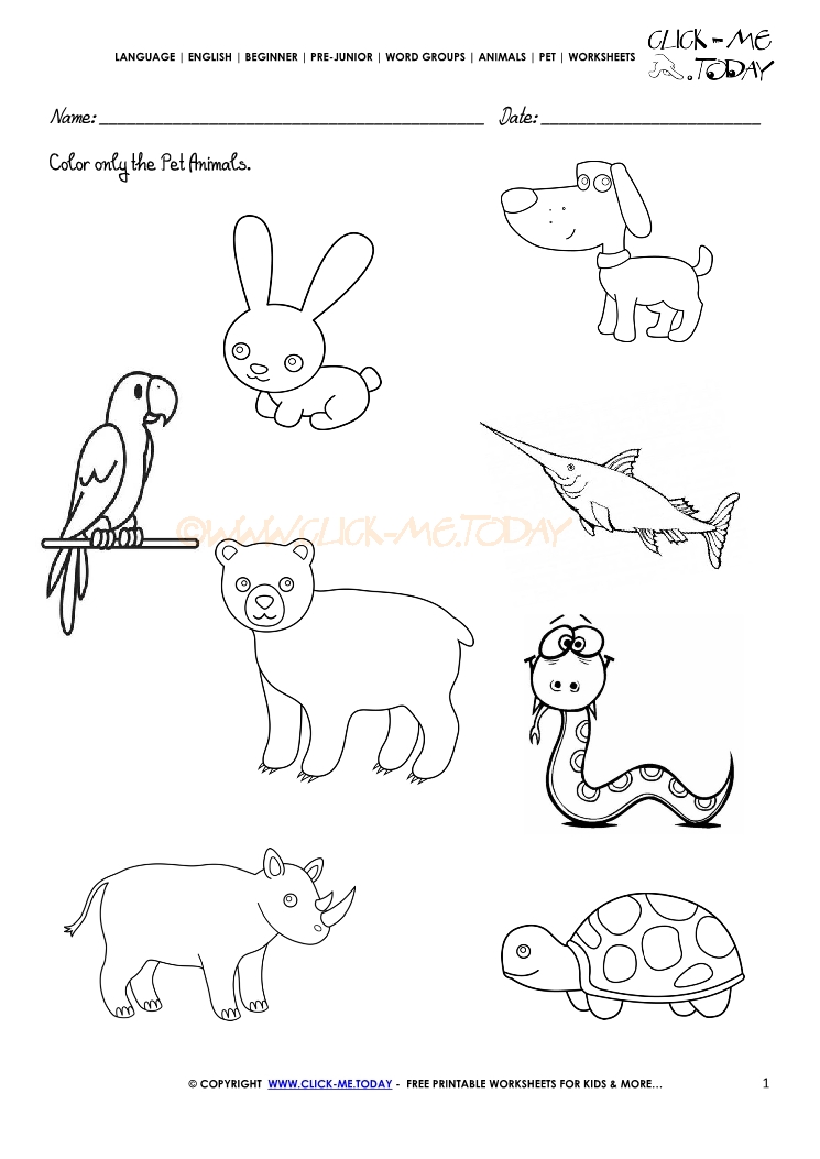 Pet Animals Worksheet - Activity Sheet 1