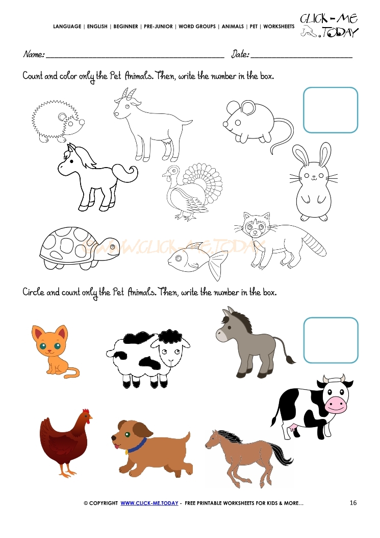 Pet Animals Worksheet - Activity Sheet 16