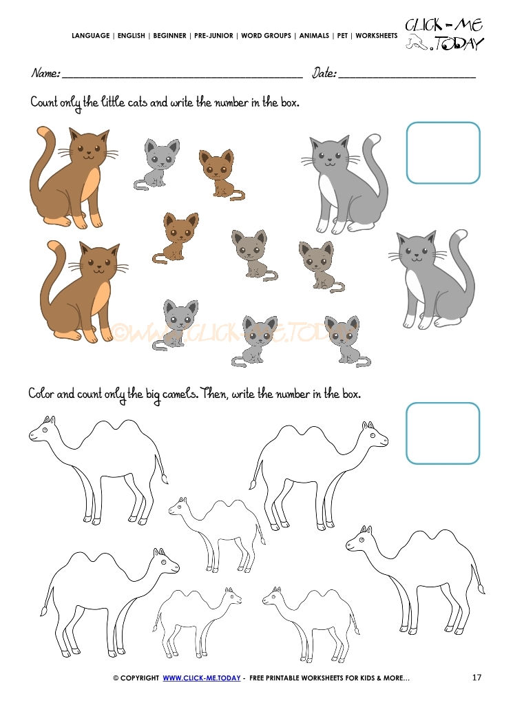 Pet Animals Worksheet - Activity Sheet 17