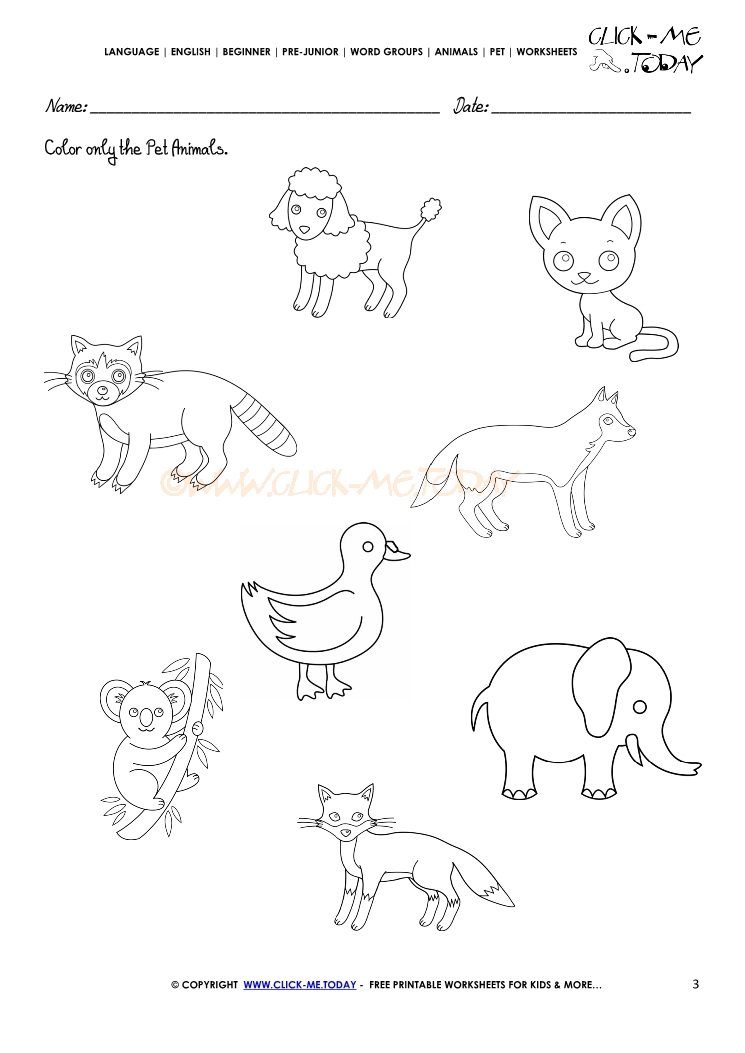 Pet Animals Worksheet - Activity Sheet 3