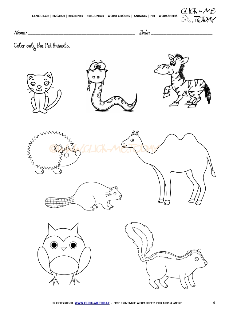 Pet Animals Worksheet - Activity Sheet 4