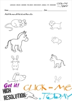 Pet Animals Worksheet - Activity Sheet 10