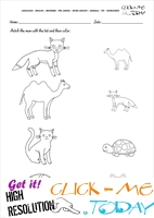 Pet Animals Worksheet - Activity Sheet 9