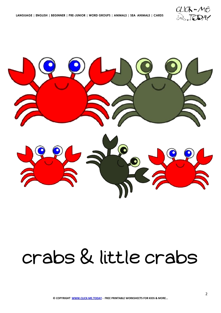 Sea animal flashcard Crabs - Printable card of Crabs