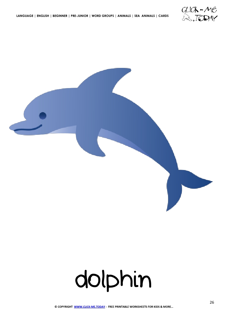 Sea animal flashcard Dolphin - Printable card of Dolphin