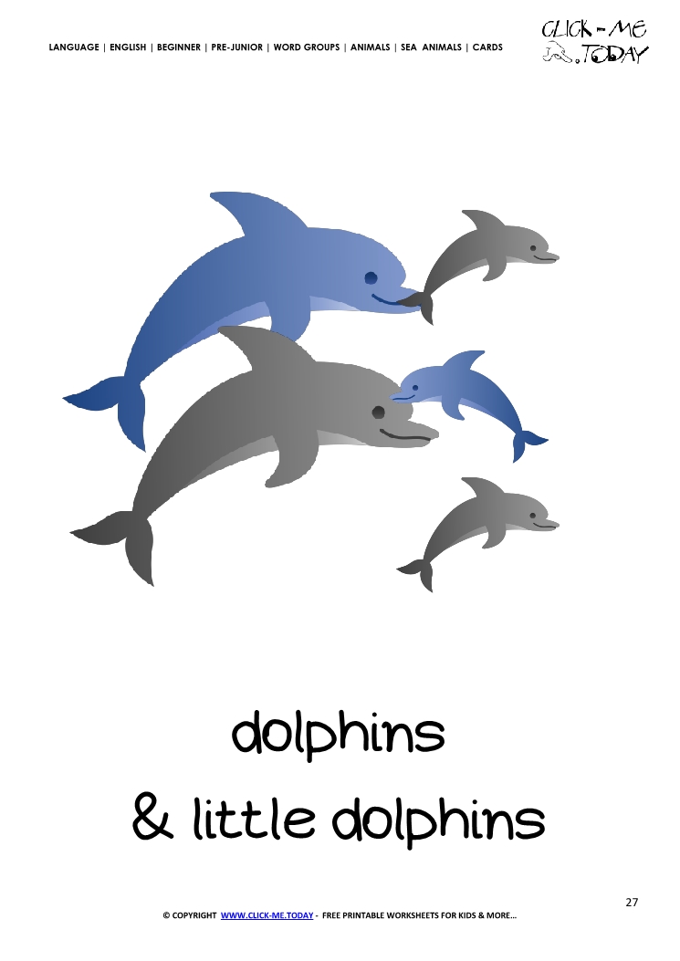 Sea animal flashcard Dolphin - Printable card of Dolphin