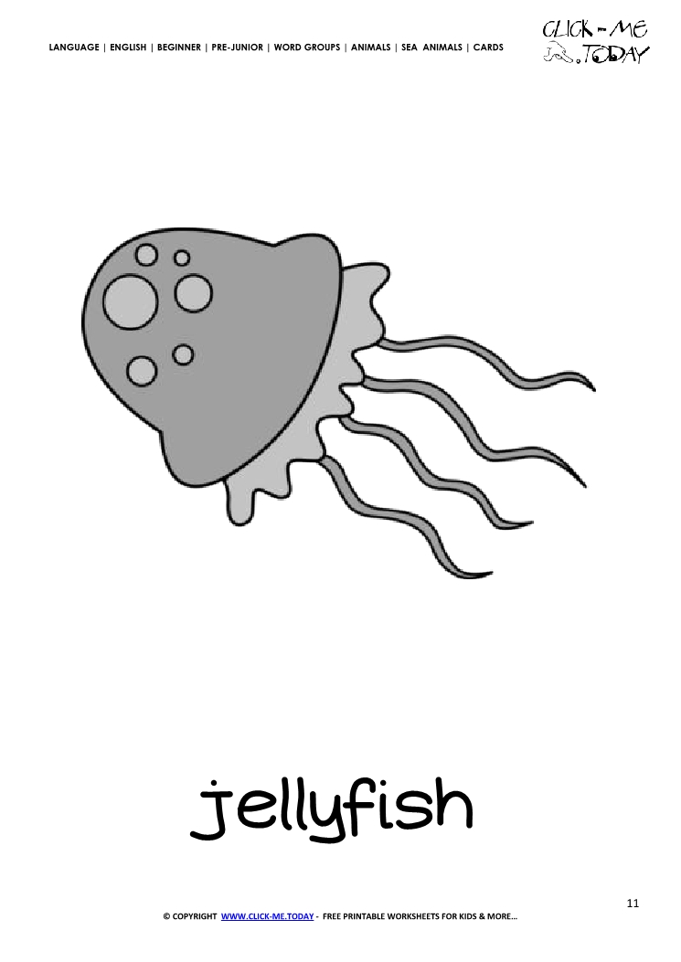 Sea animal flashcard Jellyfish - Printable card of Jellyfish