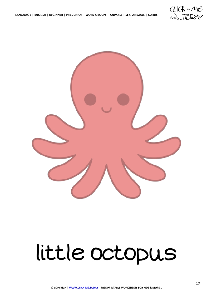 Sea animal flashcard Little Octopus - Printable card of Octopus