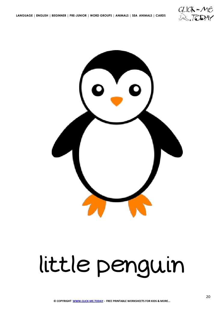 Sea animal flashcard Little Penguin - Printable card of Penguin