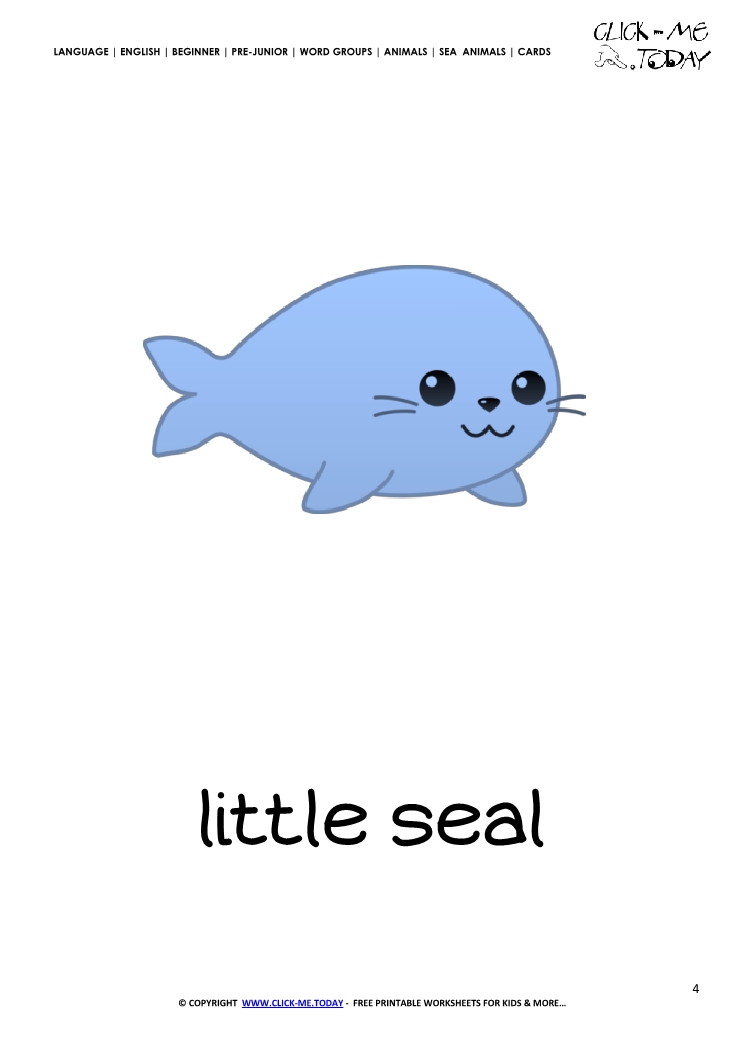 Sea animal flashcard Little Seal - Printable card of Seal