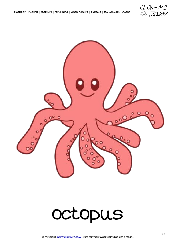 Sea animal flashcard Octopus - Printable card of Octopus