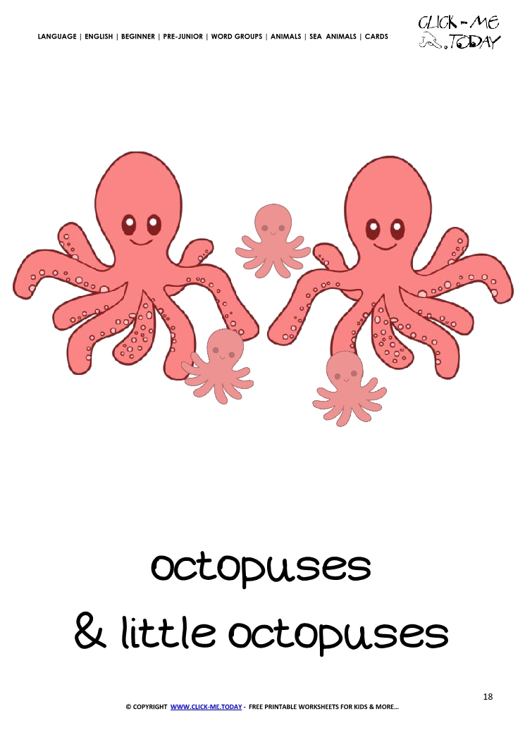 Sea animal flashcard Octopuses - Printable card of Octopuses